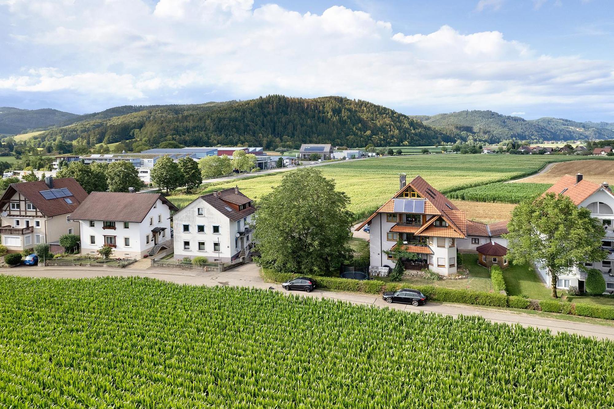 Ferienwohnung Emma Gutach im Breisgau Eksteriør billede